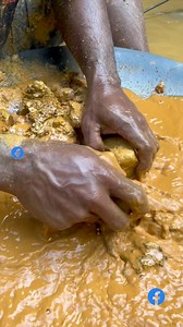 Pinakamataas na payout sa yellow land, daan-daang purong gintong butil ang dumadaloy | Yundra Gold . Digger