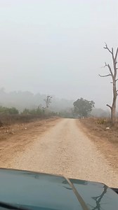 Bijrani Zone Jungle Safari / Jim Corbett National Park Jungle Safari | Jim Corbett Wildlife & Nature View | Facebook
