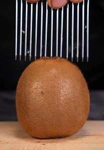 Perfectly Slice a Kiwi: Easy Step-by-Step Method
