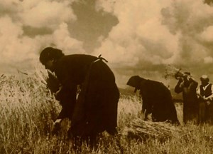 Izložba posvećena ženama heroinama otpora, stradanja i borbe u Drugom svetskom ratu u kragujevačkoj biblioteci
