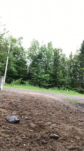 Adam George on TikTok