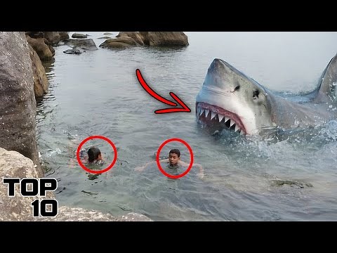 Top 10 Scary Shark Encounters