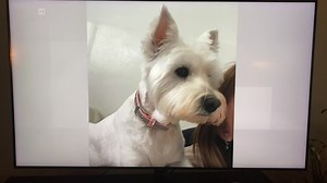 3K views · 59 reactions | TRUDY IS STILL MISSING FROM BIRCHINGTON,...