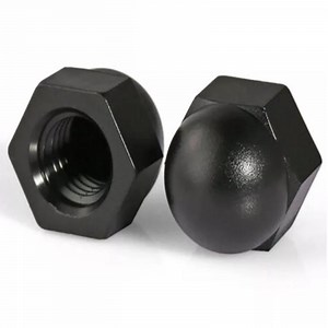 [Hot Item] M3-M20 Plastic Hex Cap Nut Decorative Black Nylon Hexagon Nut