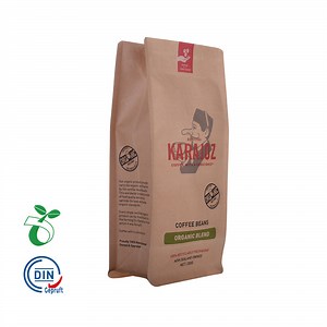 [Hot Item] Custom Design Logo Printing PLA 100% Biodegradable Kraft Paper Bag