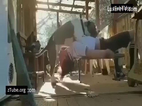 Dog fucks throat