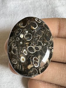 Natural Turritella Agate Cabochon, Fossilized Gemstone Polished Stones Oval Shape Loose Stones Jewelry Making / 37X27X7 / 57 CT - Etsy