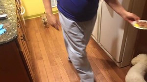 33K views · 361 reactions | Cutest thing I've seen today. | Funny Dog Pictures And Videos | Facebook