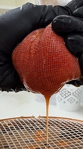 La Technique Ancestrale de Production du Caviar (Russe vs Iranien) 🇷🇺 | Les Cracks du Bois