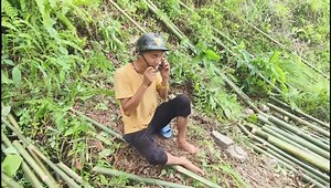 24K views · 1.3K reactions | * Tenzing norgay sherpa * Birthday Vlog Special ❤️ | Subu Bro vlog Rocks | Facebook