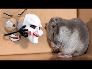 Secret Life of Things - Real Life Doodles Compilation | 3D Doodland #26