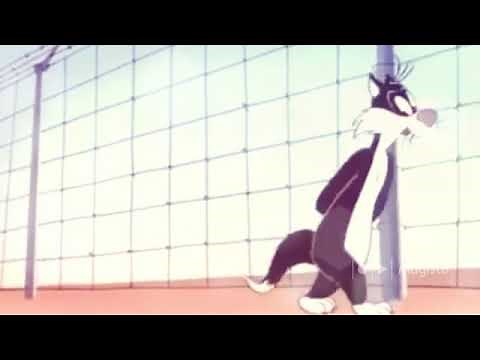 Sylvester and Tweety: Tree Cornered Tweety