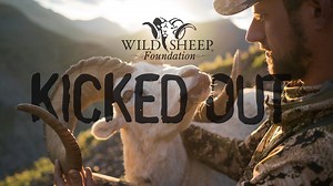 28K views · 217 reactions | After missing a ram in Montana’s Unlimited bighorn sheep unit, Riley Pierson thought he’d never harvest a mature ram. That is, until he won a fully outfitted sheep hunt from the “Less Than One” Club. | Wild Sheep Foundation | Facebook