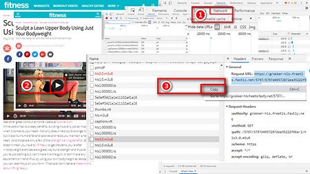 How to Download TS Videos (2 Workable Methods)