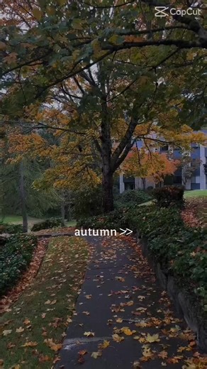 Killerinstinct on TikTok