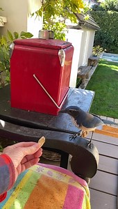 20K views · 2.1K reactions | Had a guest for lunch today.... | Deidre Hall | Facebook