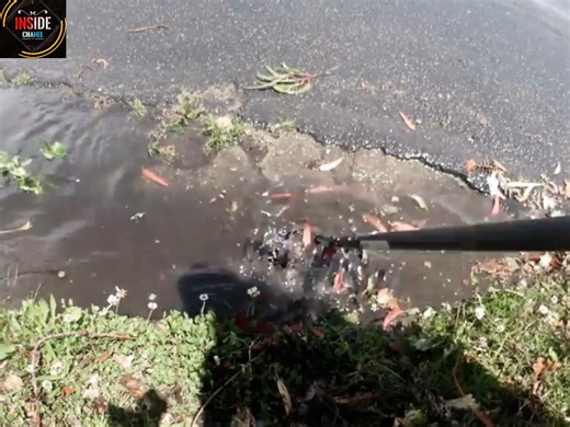 1.7K views · 36 reactions | Rainy then sunny - clearing some blocked drains after heavy showers | Inside Chanel | Facebook