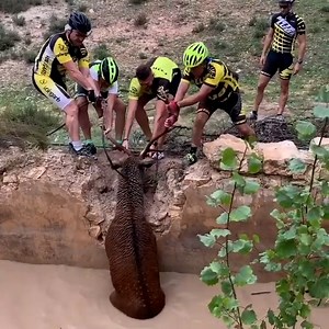 1.4M views · 7.1K reactions | Such a valiant team effort   | UNILAD | Facebook