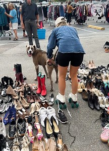 Woman trying out roller skates gets dragged by a dog | Crafty School