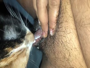 My cat licking my wet pussy