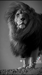 1K views · 93 reactions |  Facts  | Allan Mckenzie Aboriginal Art | Facebook