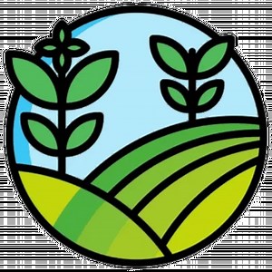 How To Care For Older Rosemary Tree