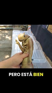 Peluche de alíen Hombres de negro #hombresdenegro #meninblack #aliens | Eduardo R Venoza | Facebook