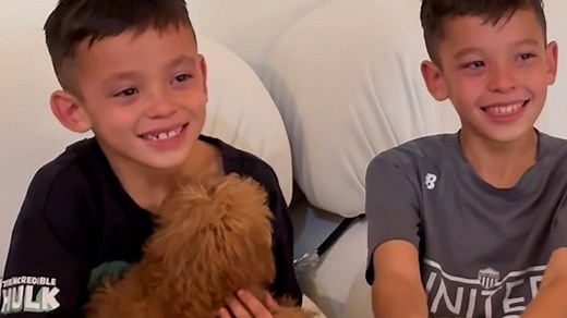114K views · 3.3K reactions | This birthday boy cries tears of joy when he’s surprised with a puppy. But wait until you see his big brother’s reaction. 梁 #usatodaypets | Cape Cod Times | Facebook