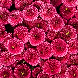 Progesterone Fertility Guide