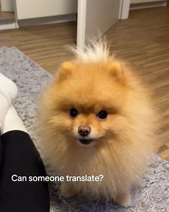 7.4K views · 341 reactions | Hmm... | Funny Now | Facebook