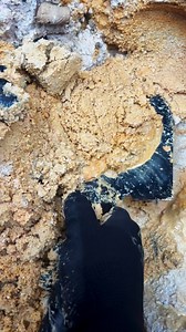 32K views · 439 reactions | the process of extracting sand containing gold #goldsand #blacksand #puregold #goldpanning #goldmining #golddiscobery #goldprospecting #goldnugget #gold #foundgold #goldhunt #goldrush #goldhunter #goldtreasure | Nepri Andries | Facebook