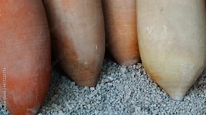 Amphorae at the Casa della Nave Europa (House of Ship Europa), Pompeii, Naples, Campania, Italy, an ancient Roman city buried by Vesuvius in 79 AD