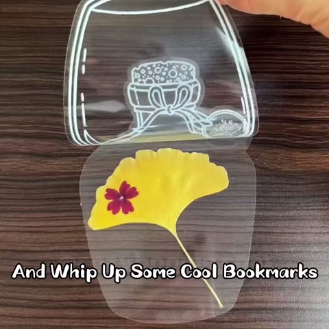 Transparent Dried Flower Bookmarks - Clear Bookmarks for Pressed Flowers (40 Pcs)