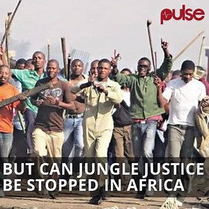 #PulseNigeriaNews Jungle justice is the judgement in cases like stealing, rape and witchcraft in Africa where there's a zero chill for such vices. Whats your take on jungle justice in Africa? #PulseNigeria | Pulse Nigeria