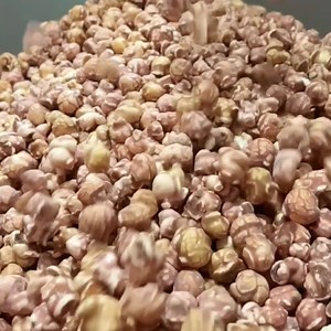 Make your evening snack worth looking forward to with choc-drizzled popcorn for adults delivered to your door | Dr Bugs Popcorn