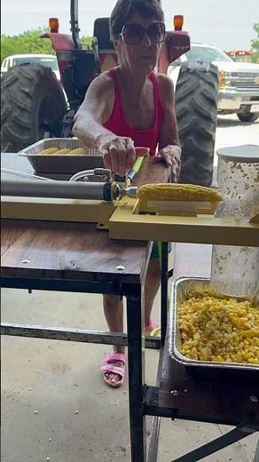 ‪@ShuckBuddy‬ Puttin’ up sweet 🌽! #sweetcorn #shoptalk #onthefarm #foodie #eatvegetables #good