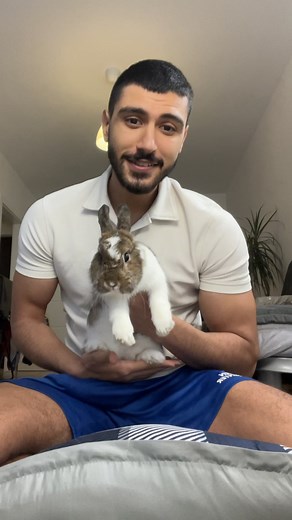 Understanding Rabbit Behavior: Important Facts for Owners