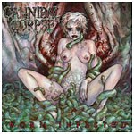 Cannibal Corpse - Worm Infested