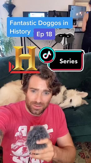 fantastic Doggos in history ep 18 - Rebecca #tiktoktaughtme #dogs #history #borzoi #trashpanda #learnontiktok #dogsoftiktok