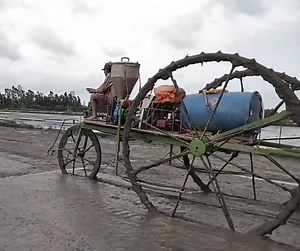 16K views · 330 reactions | Amazing idea for expert fertilizer to rice field. | Daily Post | Facebook