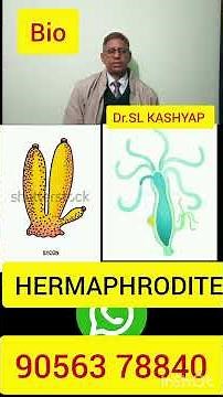 HERMAPHRODITE #cbse #biology #neet #cbse12thbiology