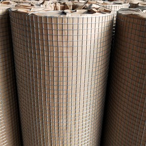 [Hot Item] Premium Welded Wire Mesh Roll for Construction and Fencing
