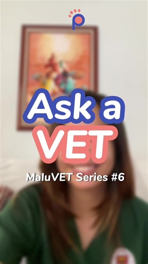 Pettr App (previously PetPal) on TikTok