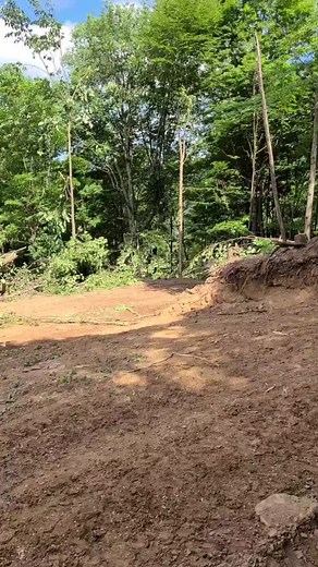 #602E#tigercat #wv#wvlogger