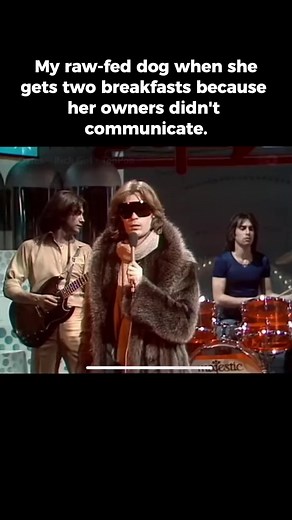 Also when she gets extra toppers. #wefeedraw #rawfeedingcommunity #rawfeeding #Dogs | We Feed Raw