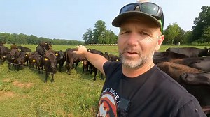 Yellowstone? Yeah Right! A Real Day On A North Carolina Ranch | Hard Work Without Fake Drama | Stoney Ridge Farmer