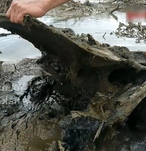 1.4K views · 21 reactions | Hunt crab | Maria Hadley | Facebook