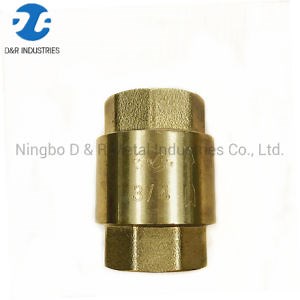 [Hot Item] Dr 6004 Brass Spring Non Return Check Control Valve