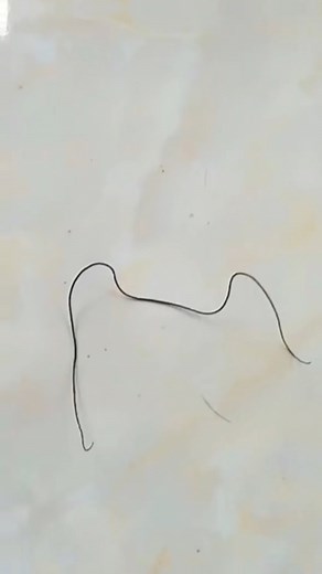 1.6M views · 6.3K reactions | Nemu bambu unik, didalamnya ada bulu perindu #mantapmen | Yoga Pranata | Facebook