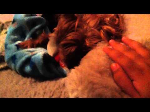 Mom and son fist video
